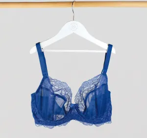 D  Lace Plunge [Cobalt]